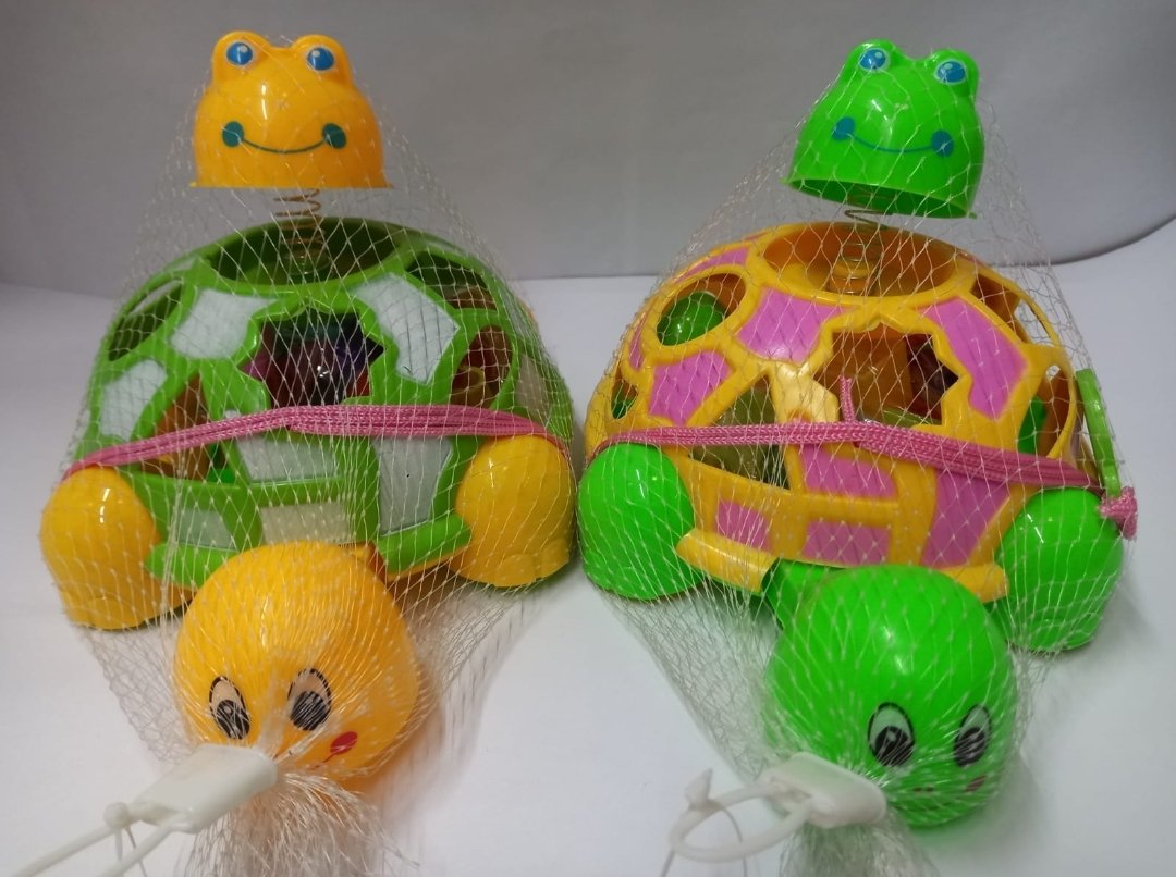 Tortuga didáctica